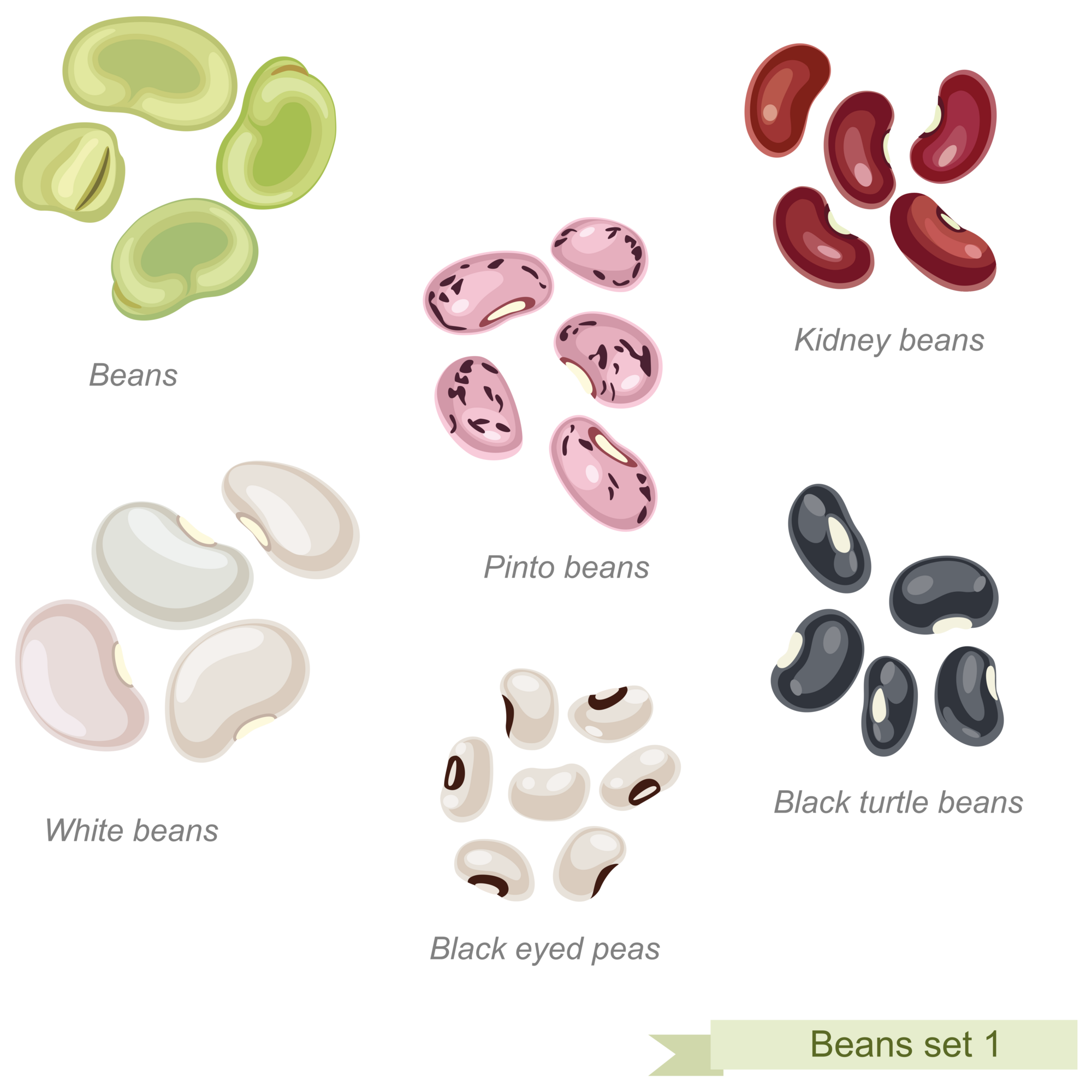 Beans Set 1